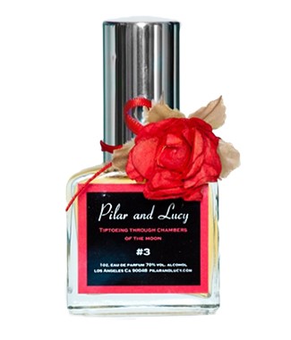 The exact friction of stars Eau de Parfum by Pilar and Lucy