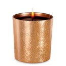 Golden Candle by Costes
