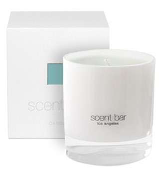 Agave Cacao  Soy Blend Candle  by Scent Bar