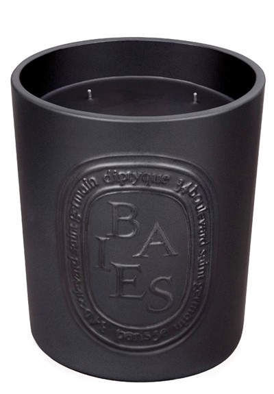 Baies Large Ceramic Candle  Scented Candle  by Diptyque
