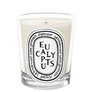 Eucalyptus Candle by Diptyque
