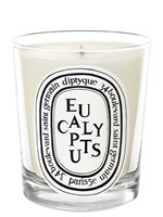 Eucalyptus Candle by Diptyque