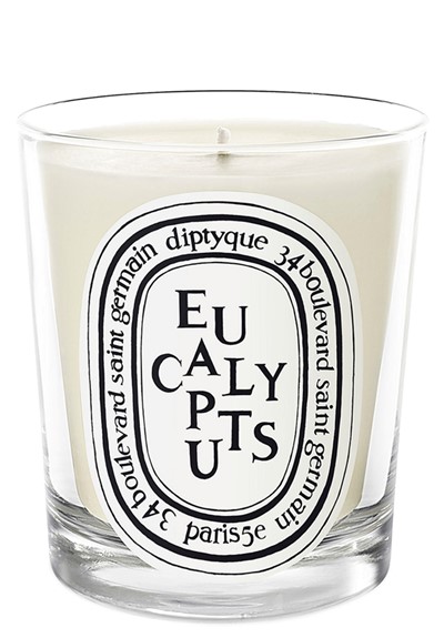 Eucalyptus Candle  Scented Candle  by Diptyque