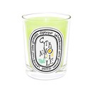 Citronnelle Candle by Diptyque