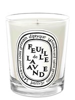 Feuille de Lavande Candle by Diptyque