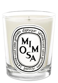 Mimosa Candle Scented Candle by Diptyque | $76