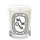 Mimosa Candle by Diptyque
