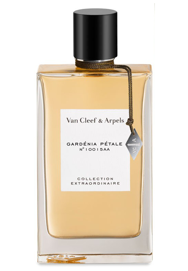 bois doré van cleef & arpels