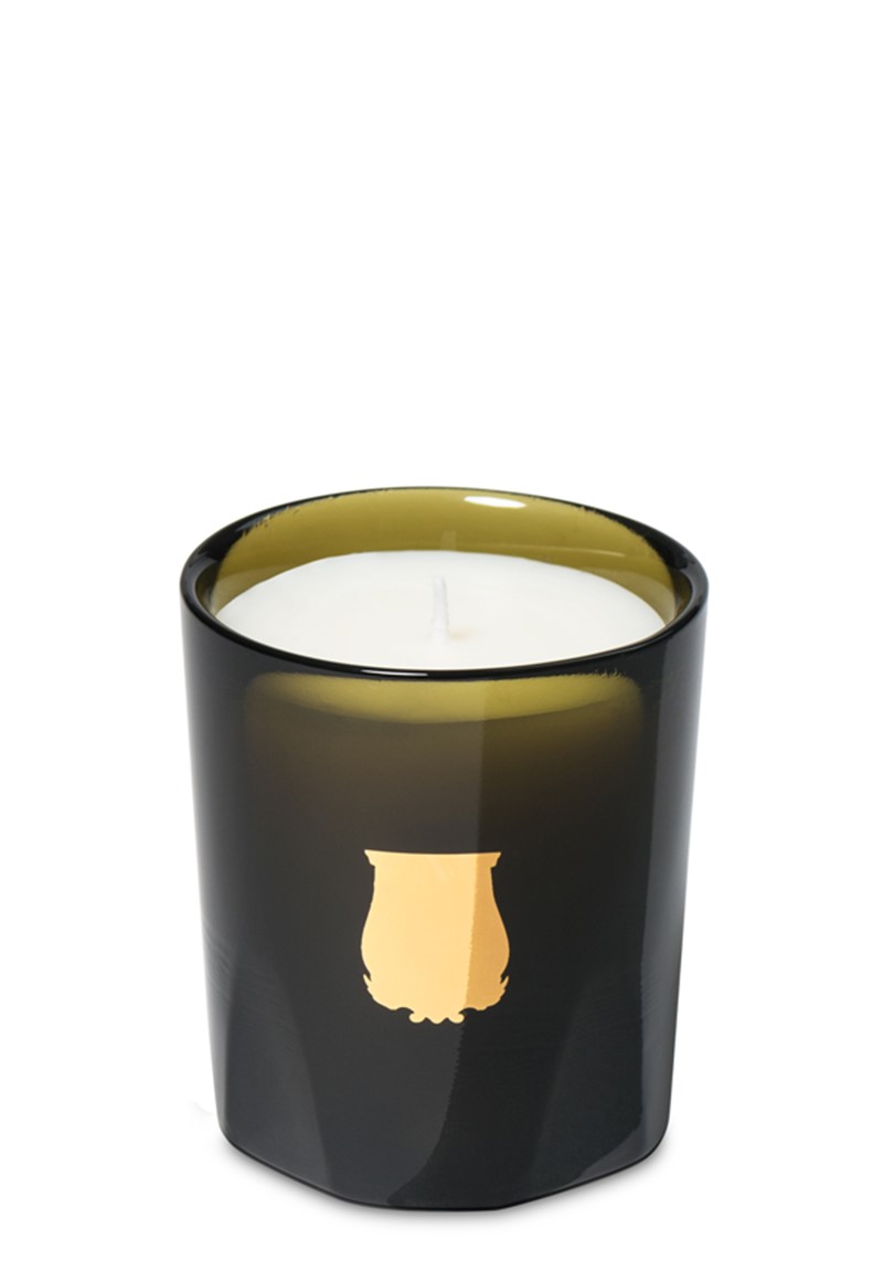 Ernesto Petite Candle by Trudon | Luckyscent