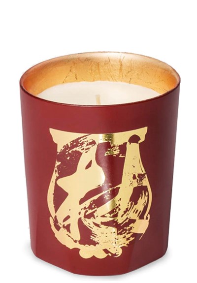 Terre à Terre  candle  by Trudon