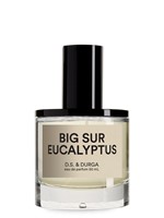 Big Sur Eucalyptus by D.S. and Durga