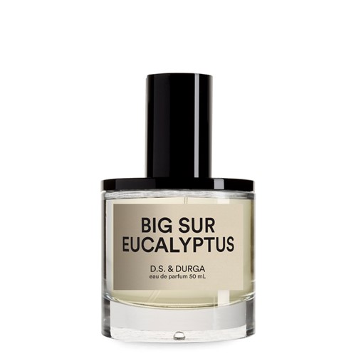 D.S. and Durga - Big Sur Eucalyptus