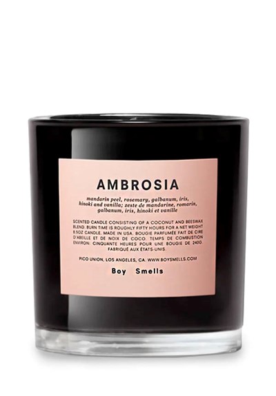 Ambrosia  Scented Candle  by Boy Smells