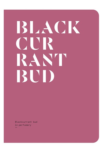 Blackcurrant Bud in Perfumery  Magazine  by NEZ