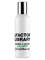 Calamus Eau de Toilette by Comme des Garcons: Olfactory Library | $95