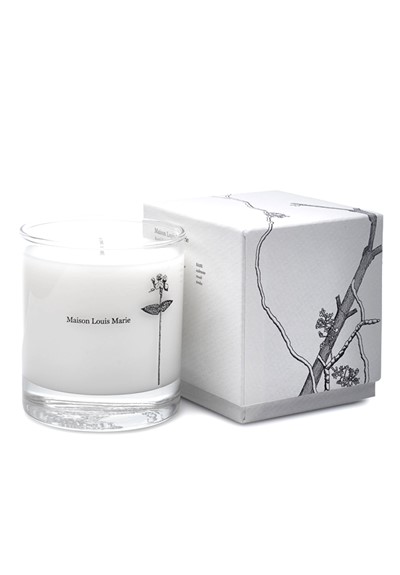 Antidris - Cassis Candle Soy Blend Candle by Maison Louis Marie ...
