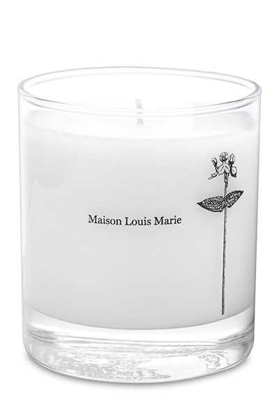 Antidris - Cassis Candle Soy Blend Candle by Maison Louis Marie ...