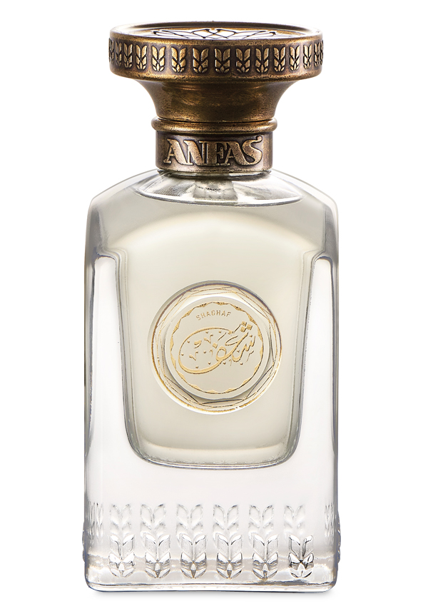 shaghaf parfum