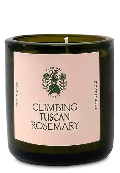 Climbing Tuscan Rosemary  Scented Candle  by Flamingo Estate