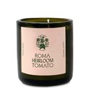 Roma Heirloom Tomato by Flamingo Estate