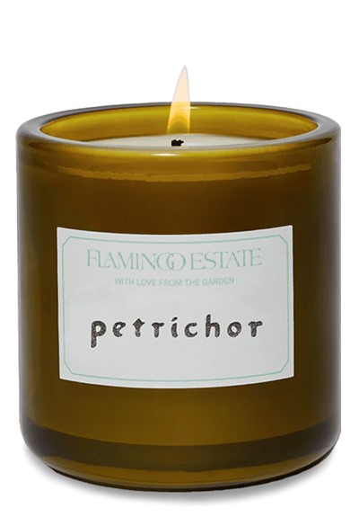 Petrichor Candle  Scented Candle  by Flamingo Estate